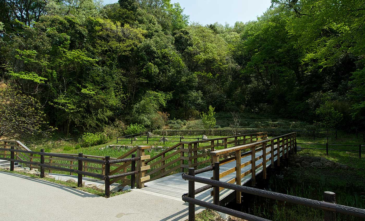 小菅ケ谷北公園 横浜市栄区の自然公園 バーベキューやウォーキングで自然を満喫できる横浜市栄区の自然公園